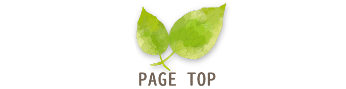 PAGE TOP